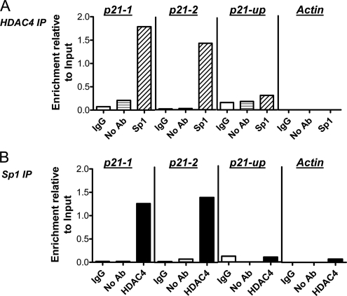 Figure 11.