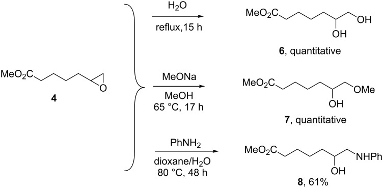 Scheme 4