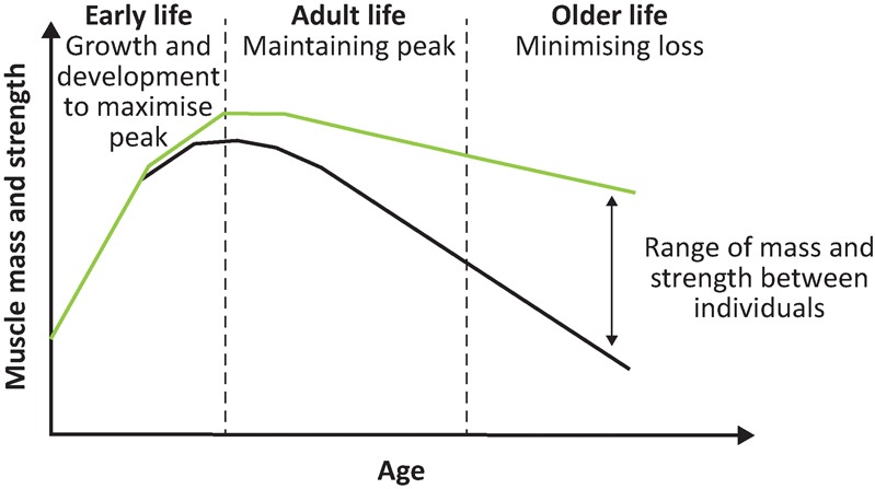 Fig 2.