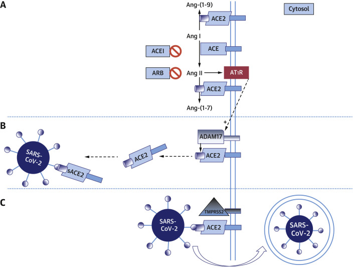 Figure 3