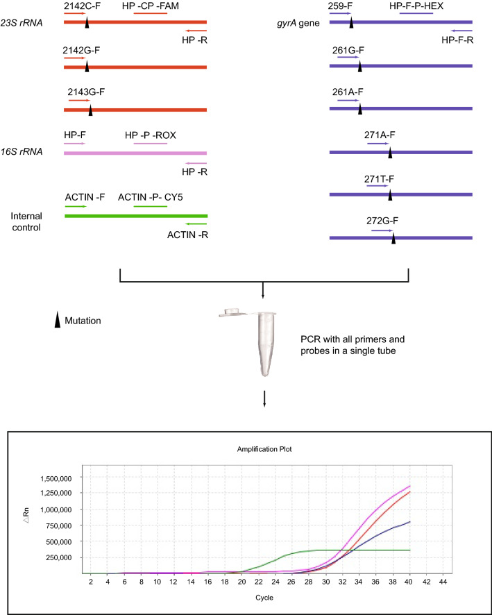 Fig. 1