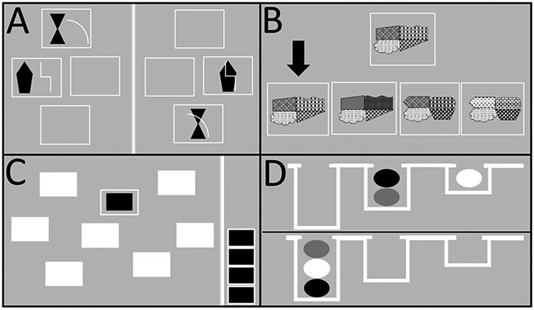 Fig. 1.