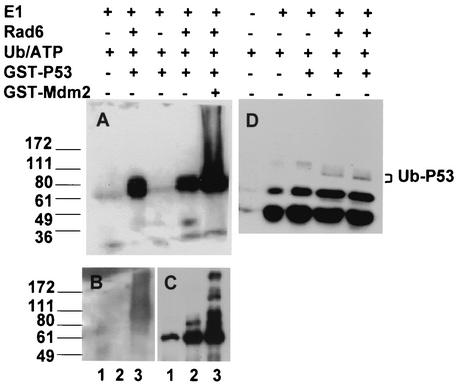 FIG. 9.