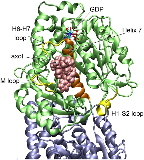 FIGURE 3