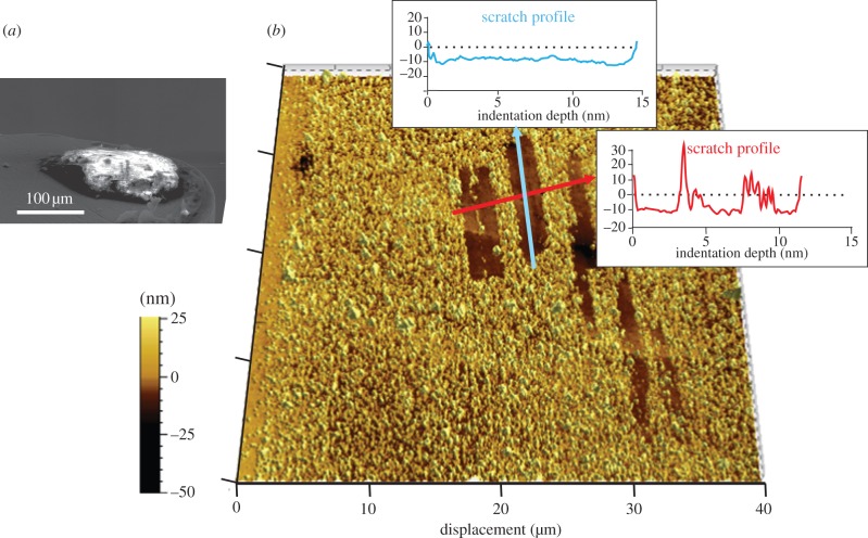 Figure 4.