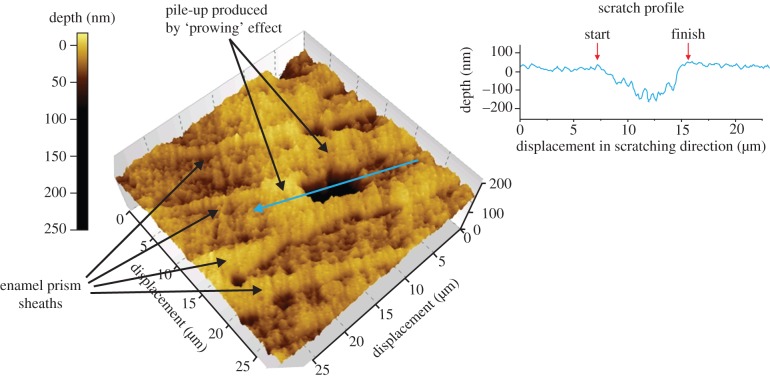 Figure 3.