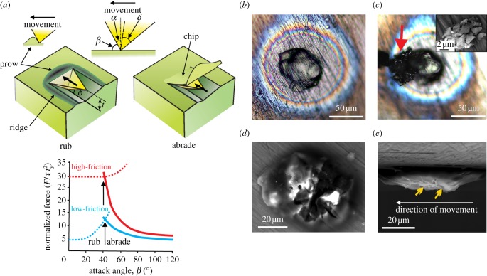 Figure 2.