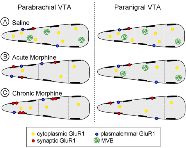 Figure 9.