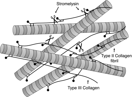 FIGURE 10.