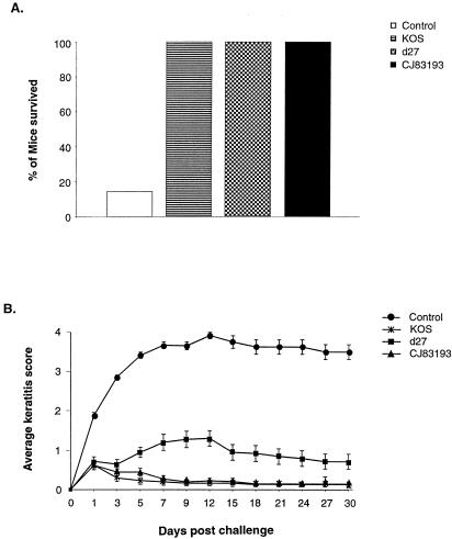 FIG. 5.