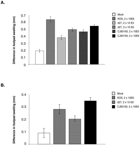 FIG. 7.