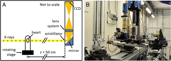 Fig. 1