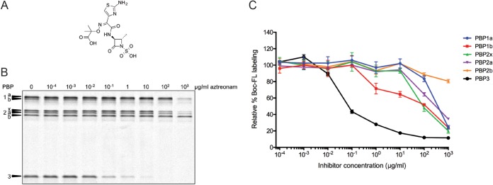 FIG 2