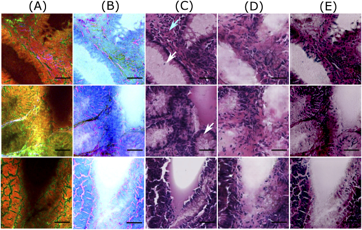 Fig. 3.