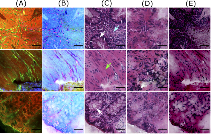 Fig. 4.