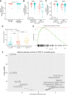 Figure 2. Effect of ARSI Treatment and AR Alterations on TROP-2 Expression. A, TACSTD2 expression in patients from the 4 mCRPC studies stratified by ARSI naïve or previous ARSI therapy. B, TACSTD2 expression in tumor biopsies from patients with and without AR alterations (defined as AR mutation or AR copy number amplification) from the 4 mCRPC cohorts stratified by adenocarcinoma and NEPC. C, TACSTD2 expression in tumor biopsies with or without AR alteration as in (B), but stratified by luminal and basal mCRPC. Statistical tests performed in A–C are Wilcoxon rank sum tests. D, TACSTD2 expression in baseline (N = 92) samples from the PROMOTE study divided into tertiles by expression level of AR-V7 (Negative n = 37, low n = 26, high n = 27). E, Enrichment plot of the Androgen Response Pathway from the GSEA analysis performed in (F). F, GSEA analysis of hallmark pathways enriched in TACSTD2-correlated genes. A positive normalized enrichment score denotes positive correlation with TACSTD2 expression.