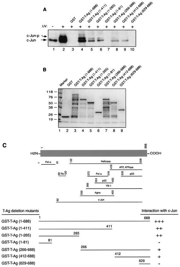 FIG.6.