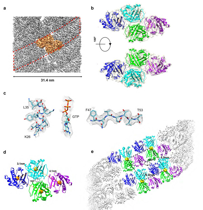 Fig. 1.