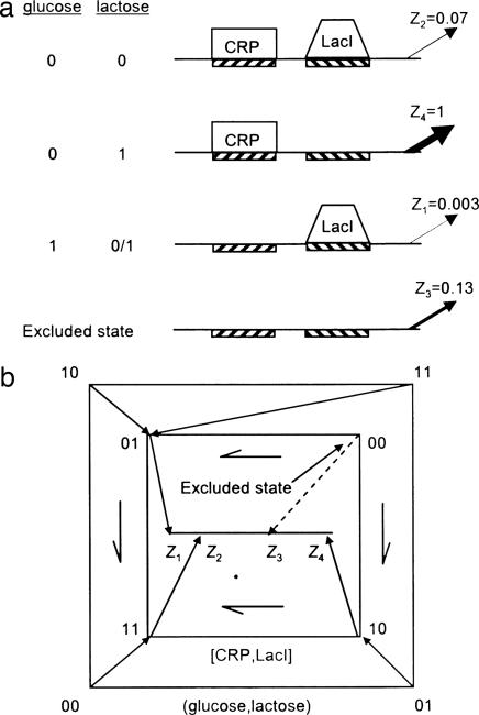 Fig. 4.