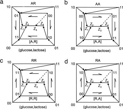 Fig. 5.