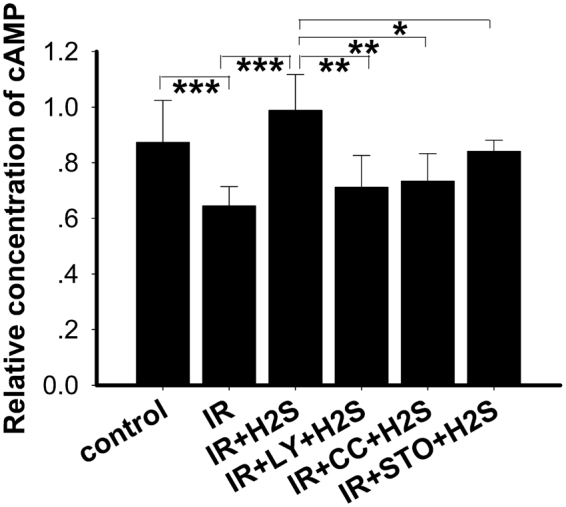 Figure 9