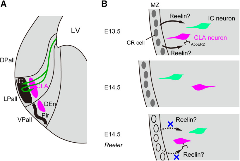 Figure 9.