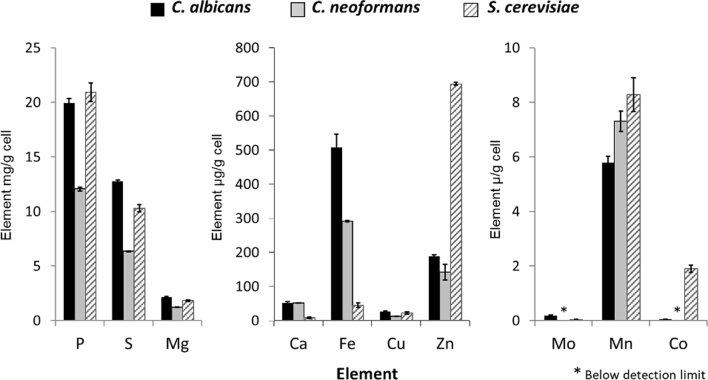 Fig. 1
