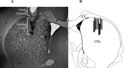 Fig. 5.