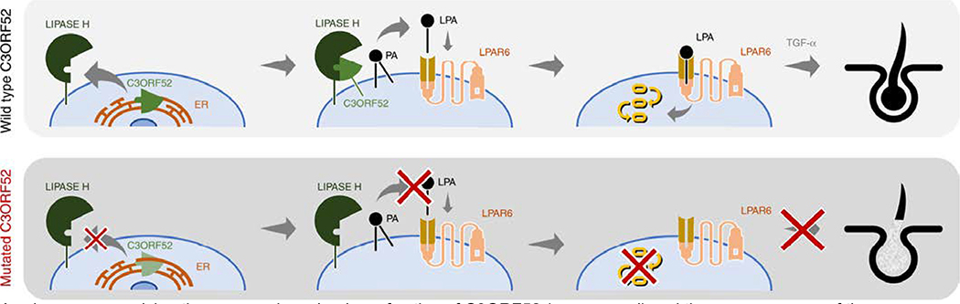 Fig. 5: