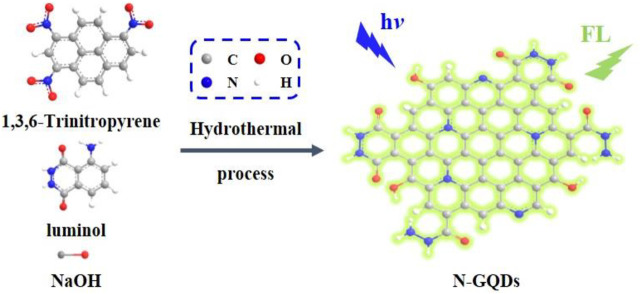 FIGURE 1