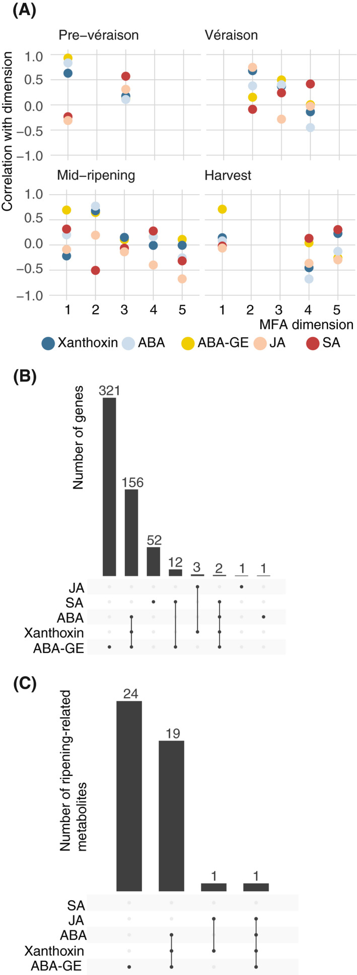 FIGURE 6