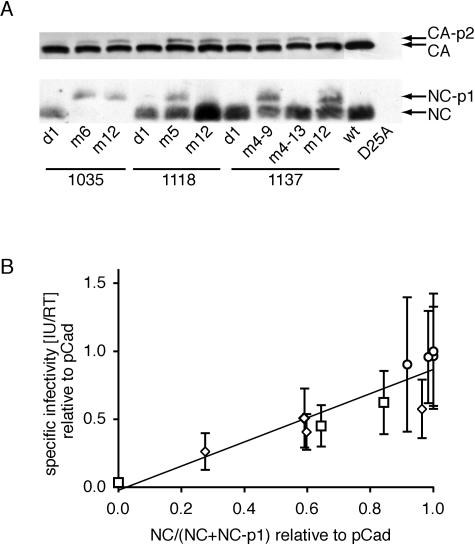 FIG. 8.