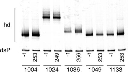 FIG. 4.