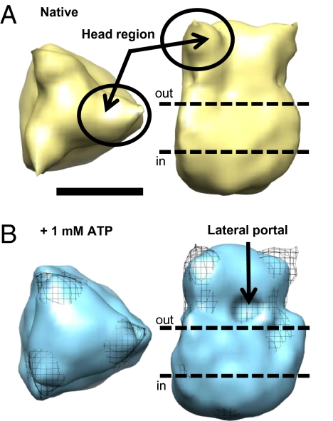 Fig. 3.