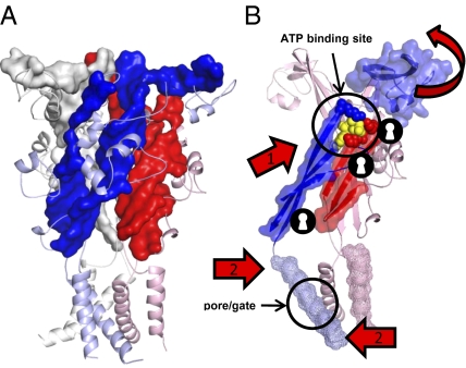 Fig. 5.