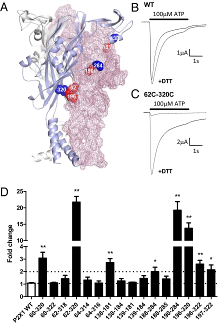 Fig. 4.