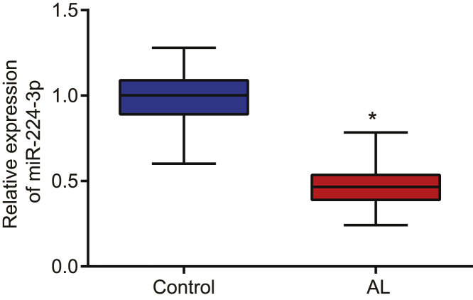 Figure 1