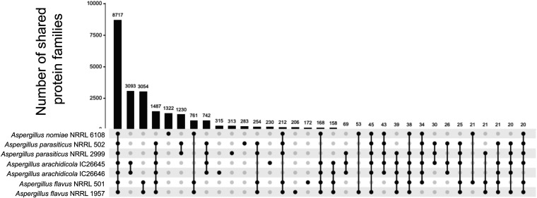 FIG 2