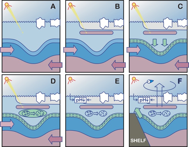 Fig. 3