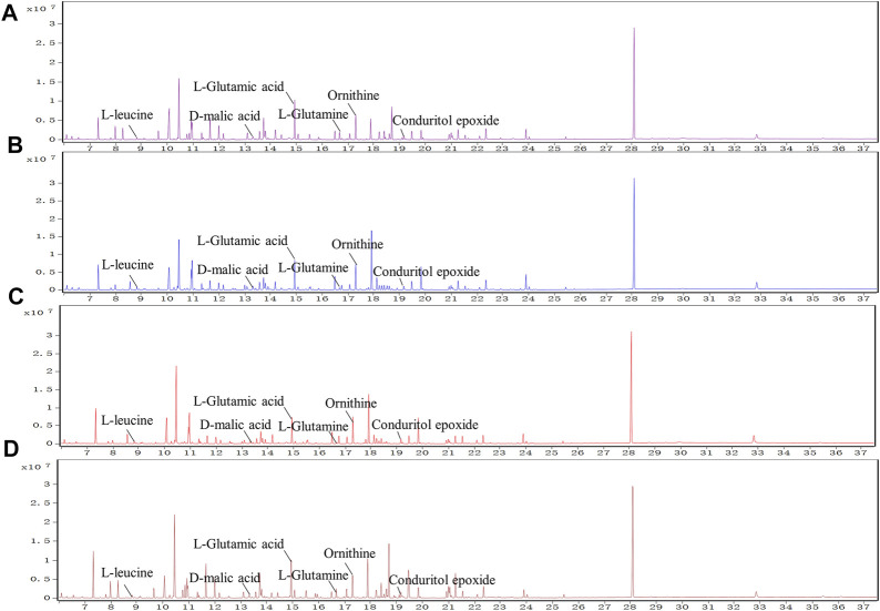 FIGURE 6