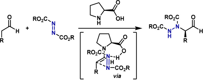 Scheme 5