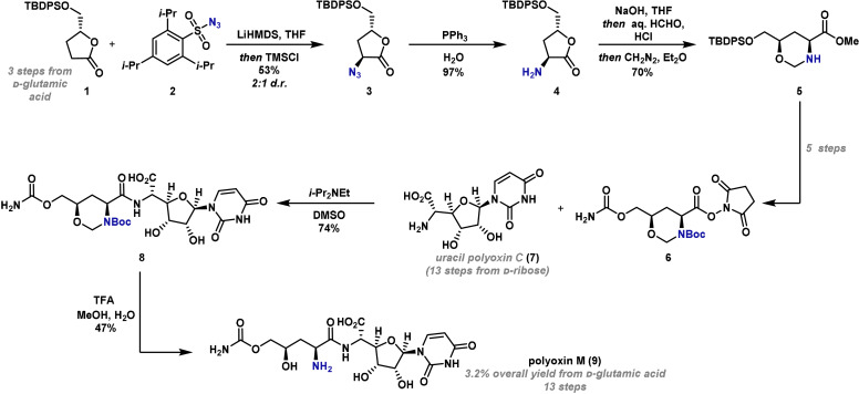 Scheme 3