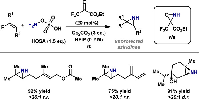 Scheme 29