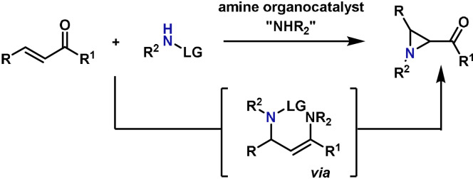 Scheme 12