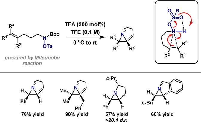 Scheme 28