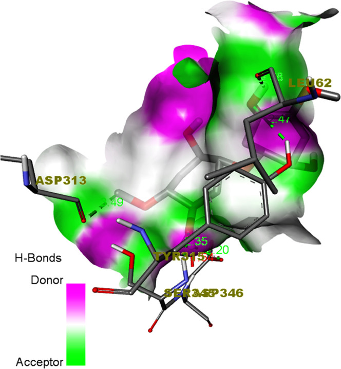 Figure 10