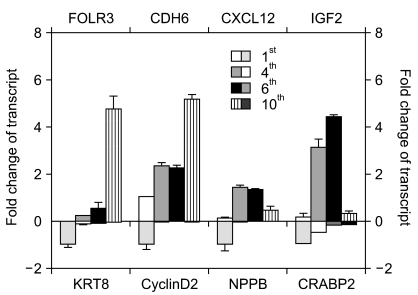 Fig. 4