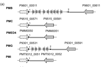 Fig. 9