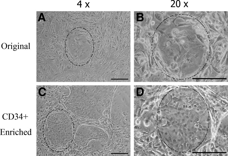 FIG. 4.