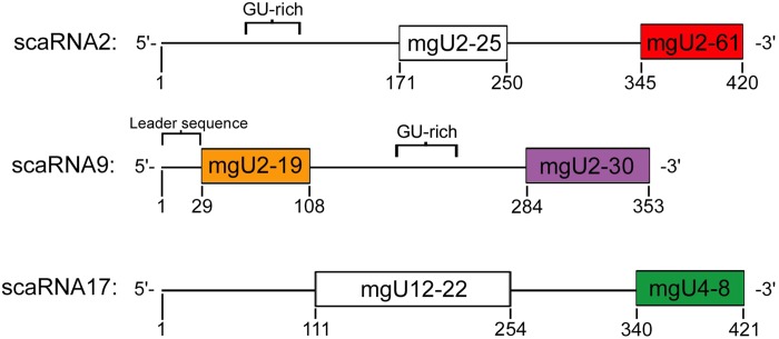 Fig. 1.